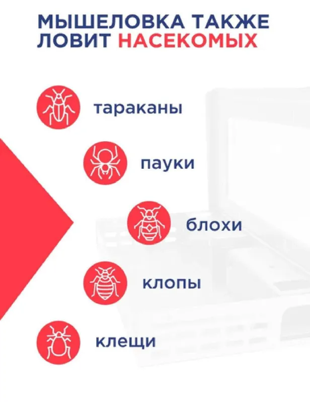 Живоловка Мышеловка ловит до 20 мышей — фото 4