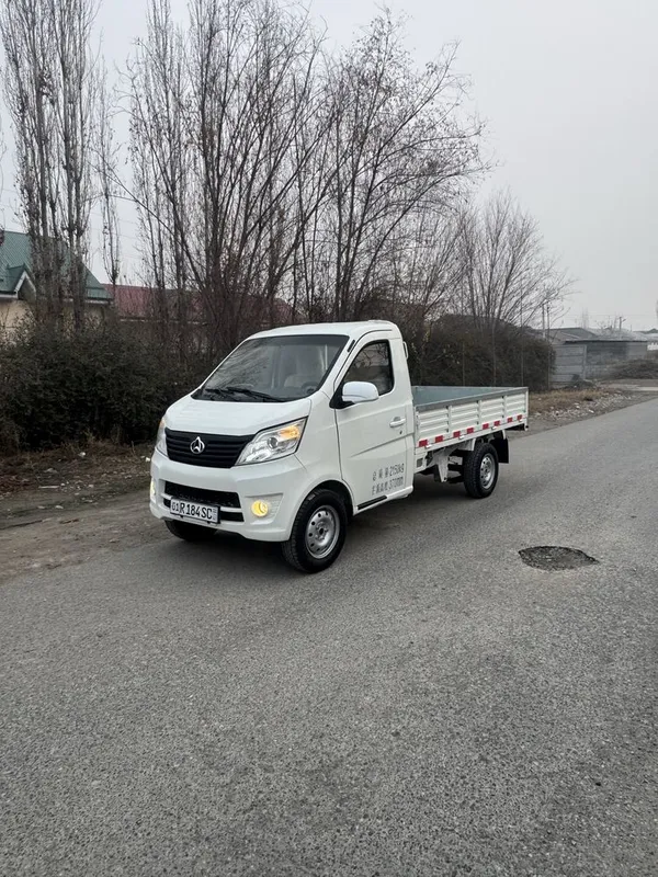 Changan 69 talik mator