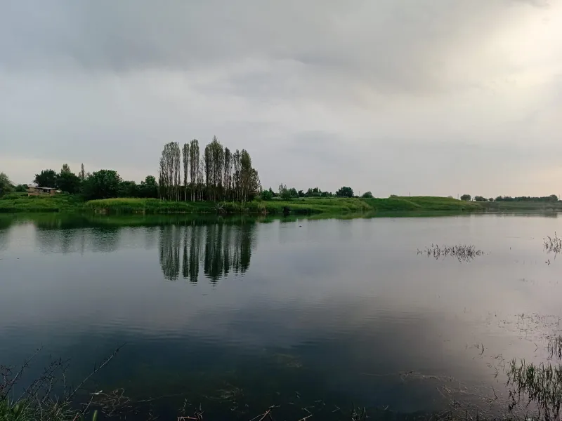 Продаю дом мечты у воды Ташморе — фото 7