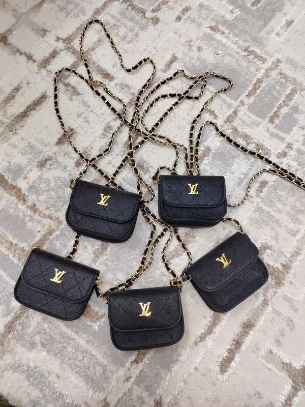 Louis Vuitton mini sumkachalar 2