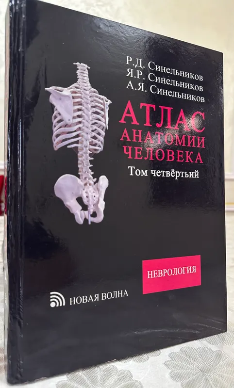 Sinelnikovning inson anatomiyasi atlasi 3