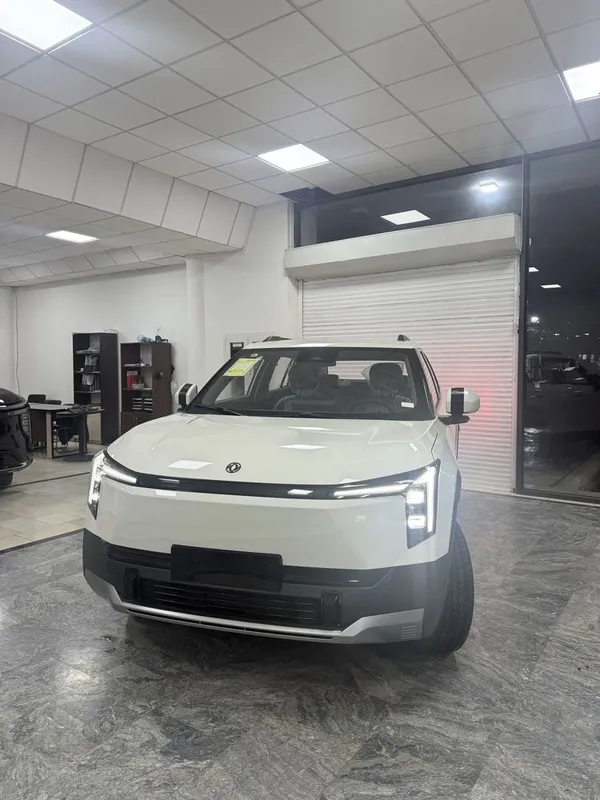 Dongfeng Nammi 06