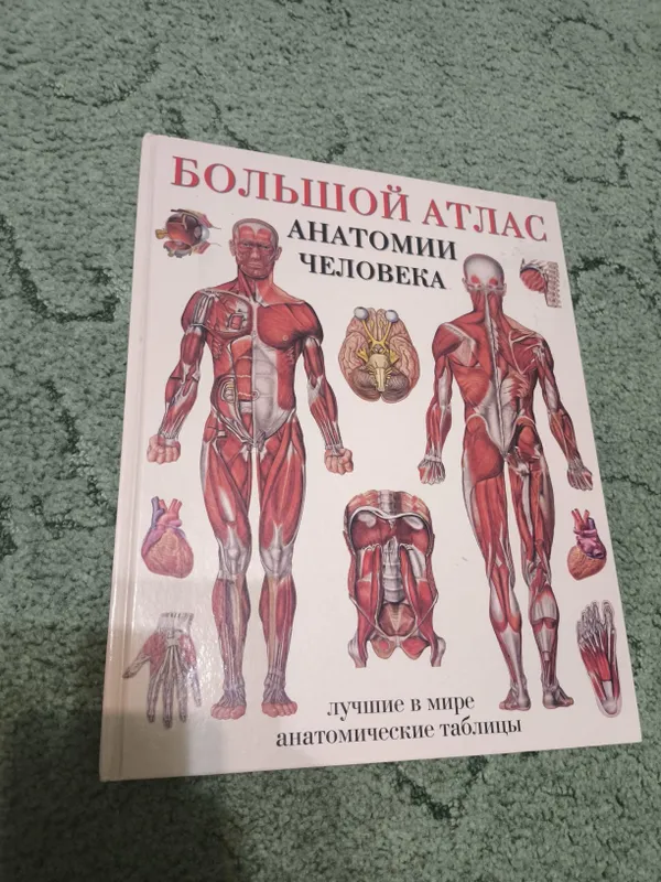 Большой атлас анатомии человека 1