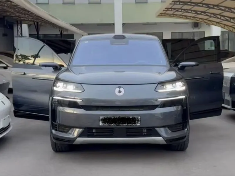Denza N9 full 2025 йил