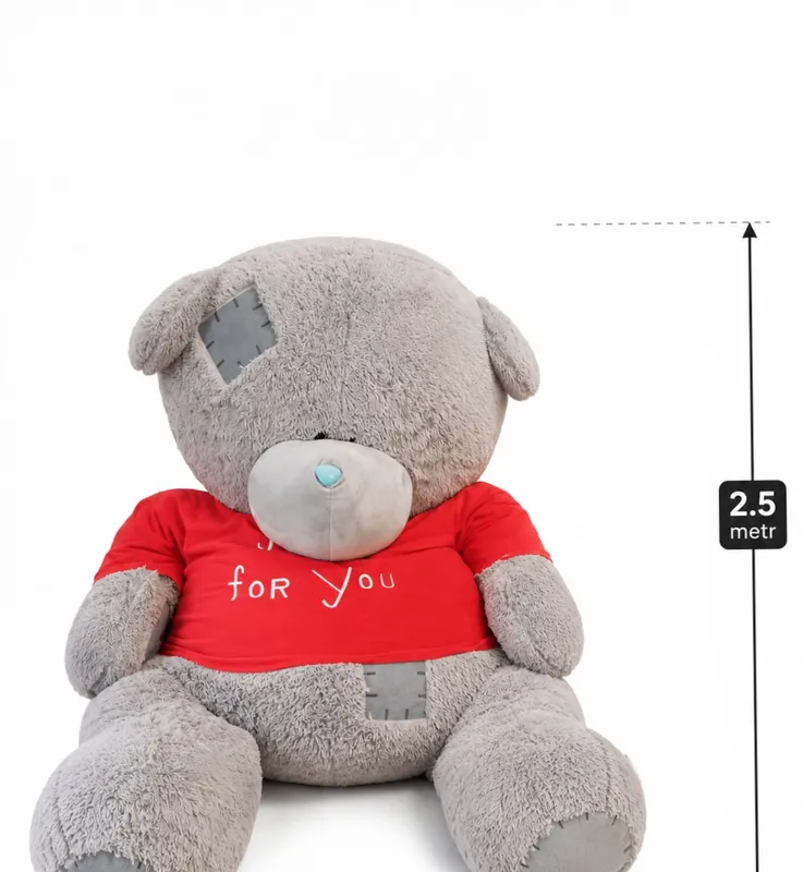 Katta teddy