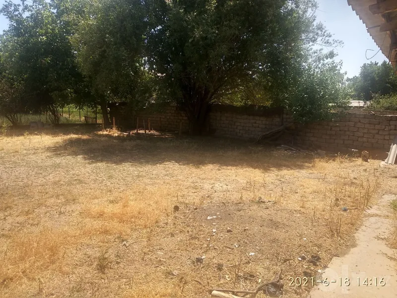 Qushqondi zangota tumani 4 Qushqondi zangota tumani 4