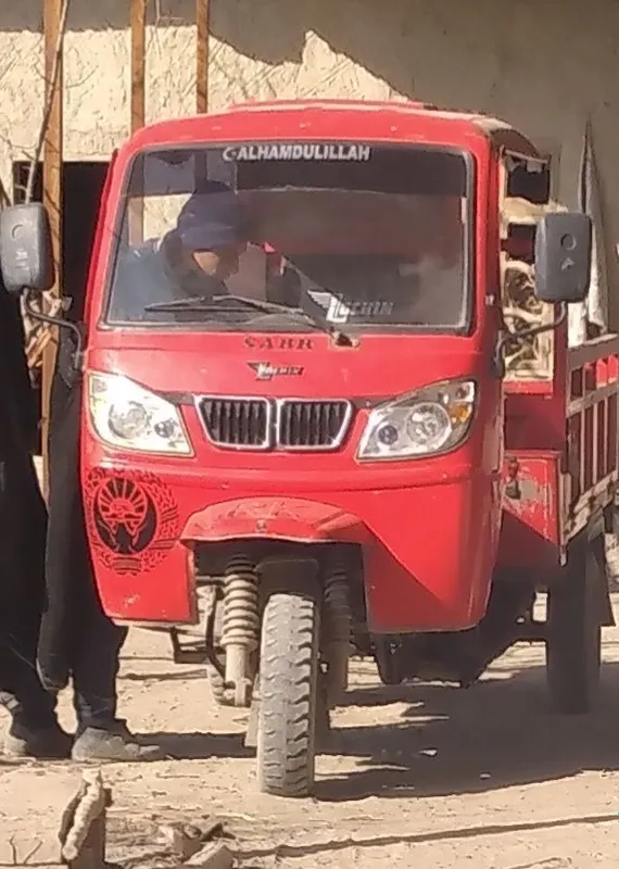 Lochin mototsikli LOCHIN LS 200 CC 2019 Kabinalik zavadskoy 1.100 kg — фото 3