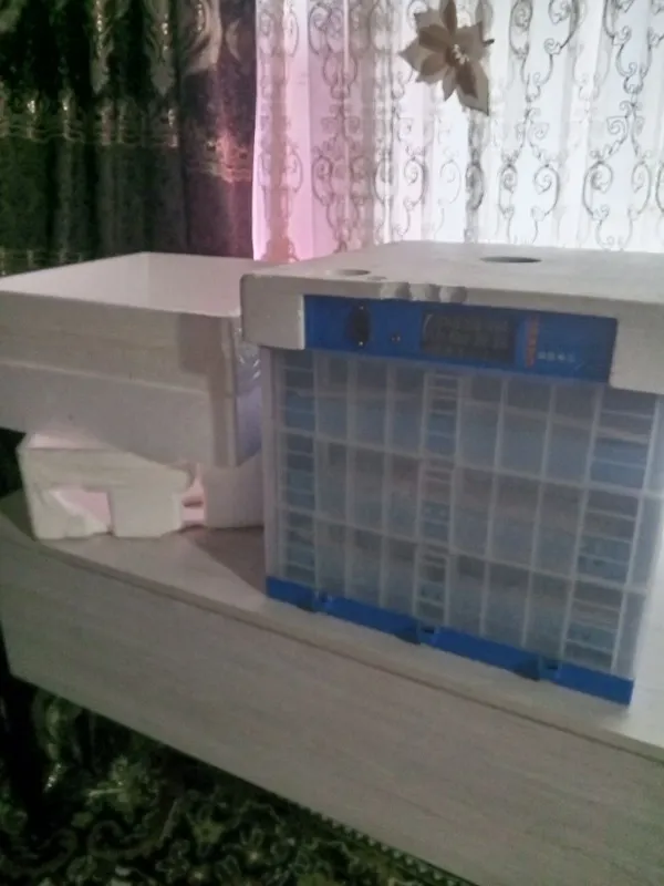 Inkubator sotiladi holati idiyal 2