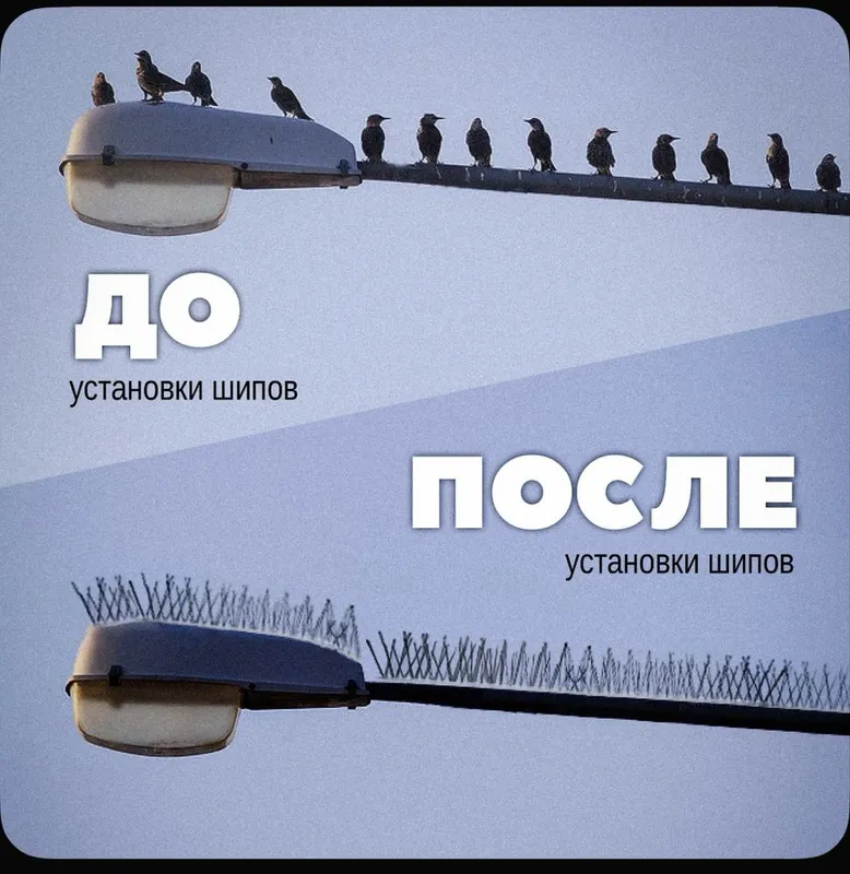 Шипы - от птиц противоусадочные — фото 2