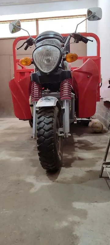 Грузовой мотоцикл, муравей, мотороллер, трицикл REALMOTO — фото 3