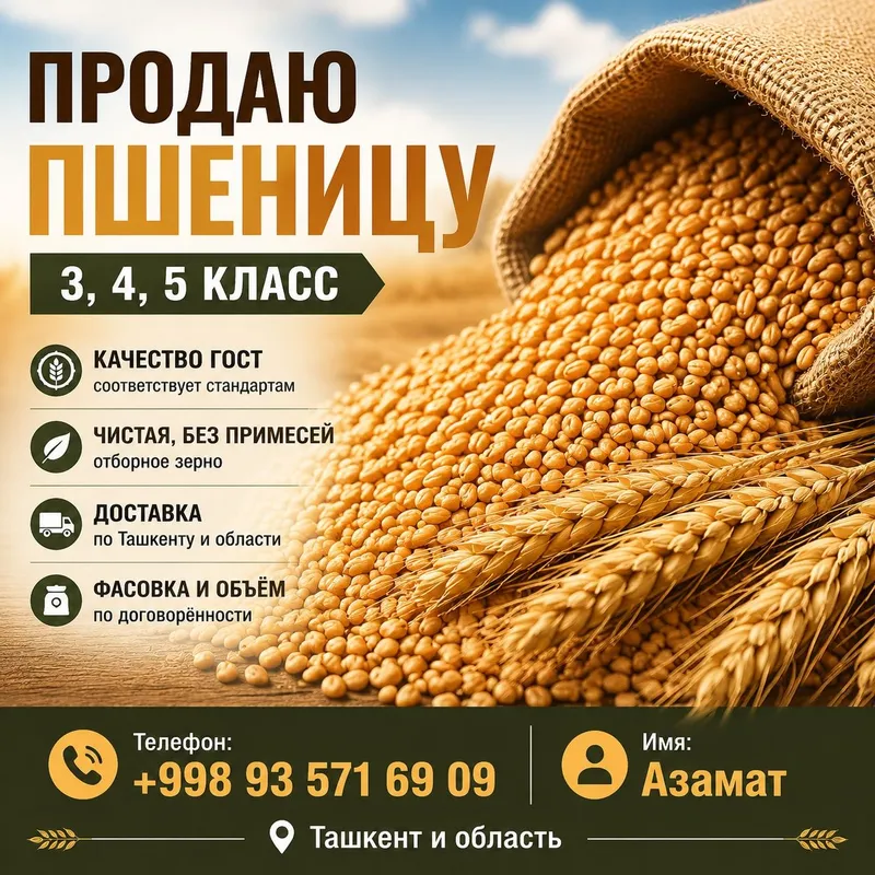 Продам казахстанскую пшеницу 3, 4 и 5 класса. В наличии качественная п 1
