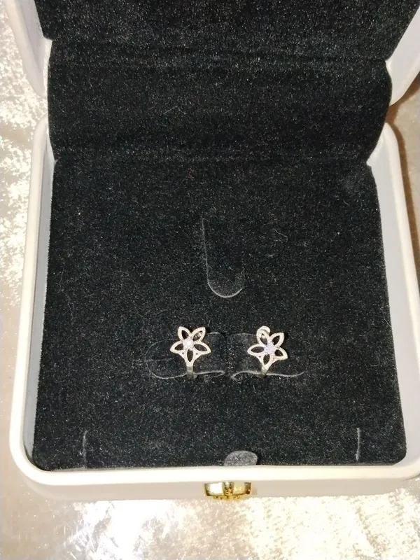 Kumush ziraklar 925 proba 4 Kumush ziraklar 925 proba 4