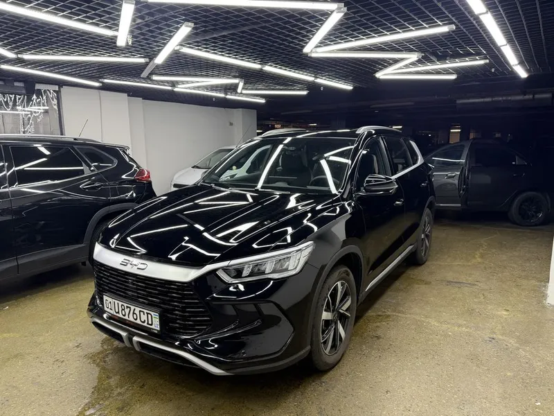 Byd song pro 2024