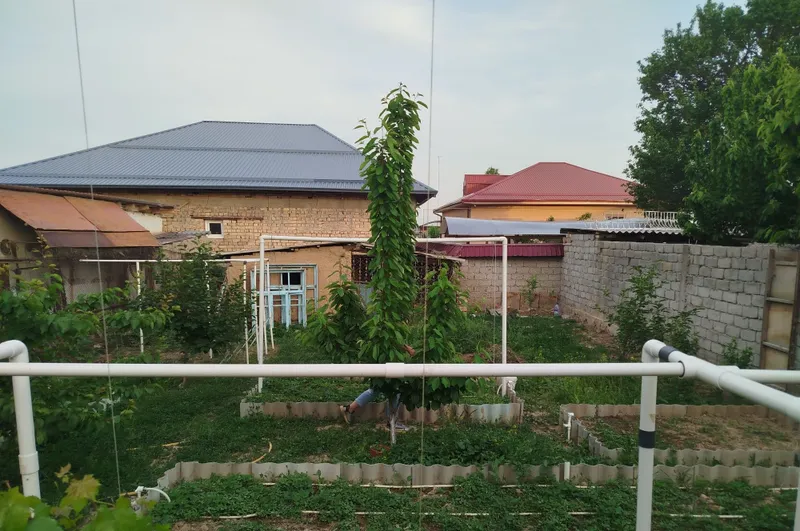 Продам свой дом с участком на пятисотке! 3 Продам свой дом с участком на пятисотке! 3