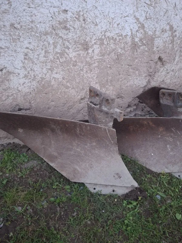 Pulik oyoqlari sotiladi