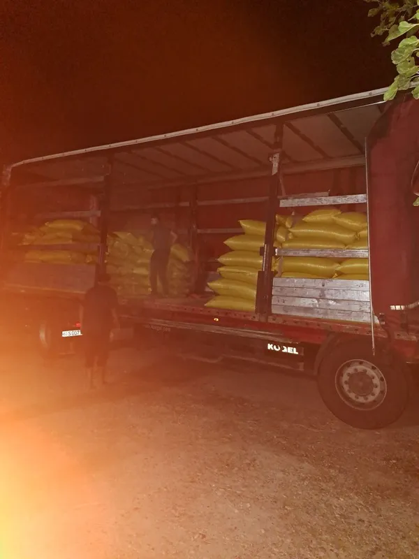 Toza arpa sotiladi 2 Toza arpa sotiladi 2