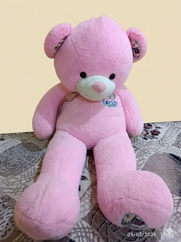 Pushti ayiq va teddy — фото 1