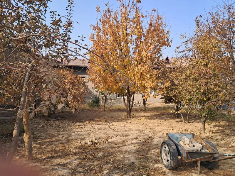 yangiyo'l tumani layle maxalla 7.7 sotik — фото 1