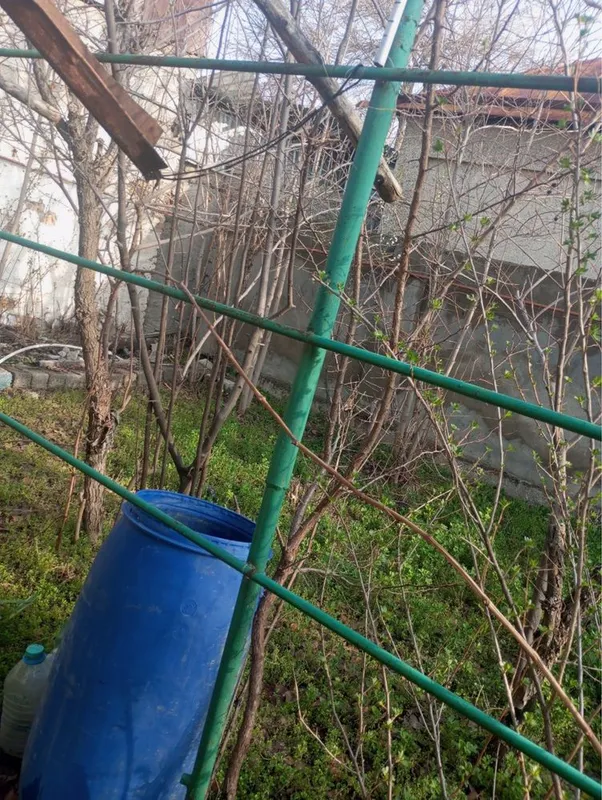 Продается Дача на границе бостанлыка — фото 6