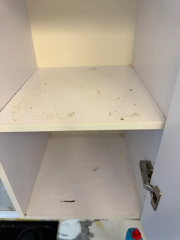 Kvartiralarni tozalash 4