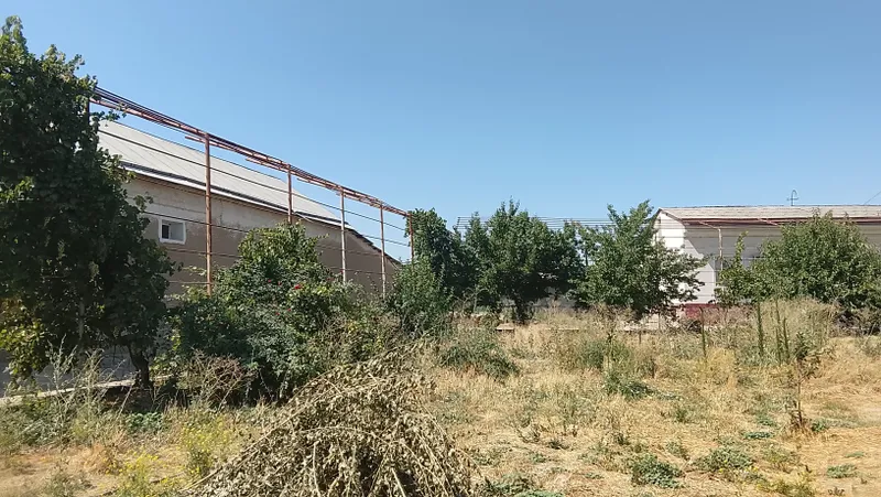 20 соток 2