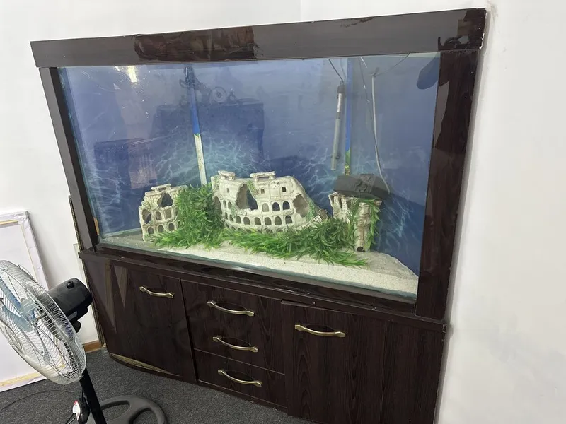 Аквариум срочно пролается 1