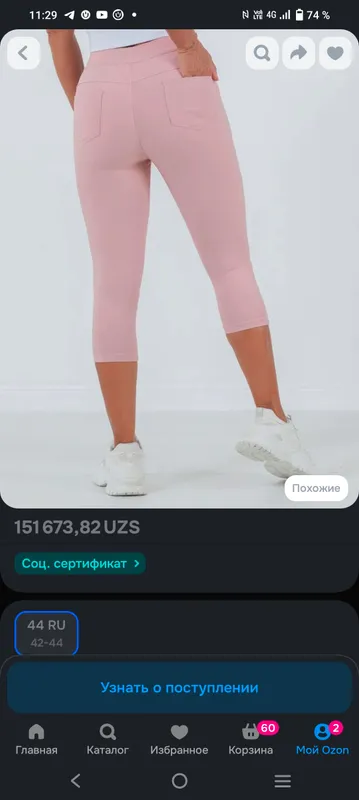 продам бриджи