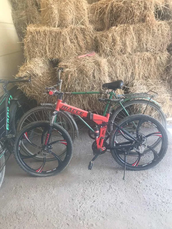 velosiped