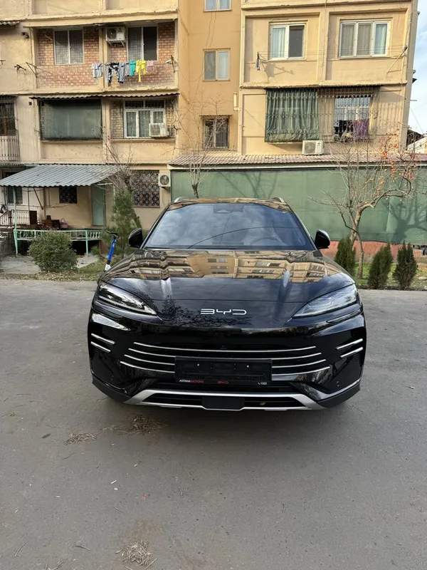 Byd chempion Dm-i — фото 3