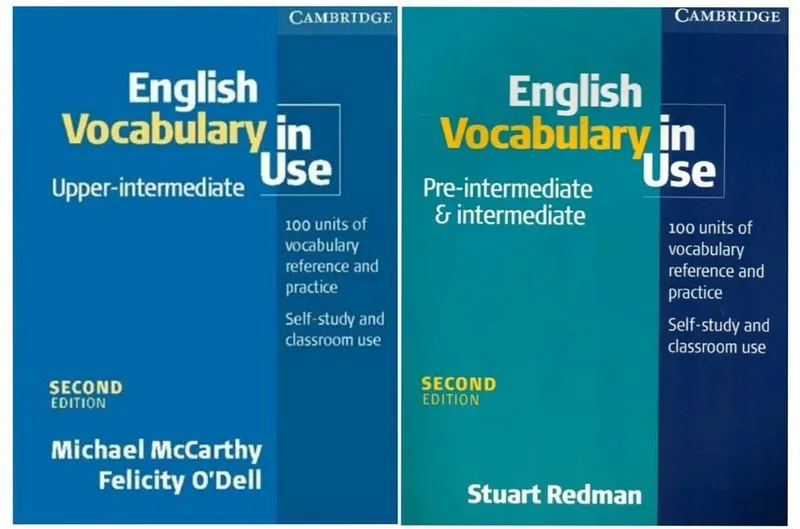 Доставка. English vocabulary in Use elementary advanced intermediate — фото 5