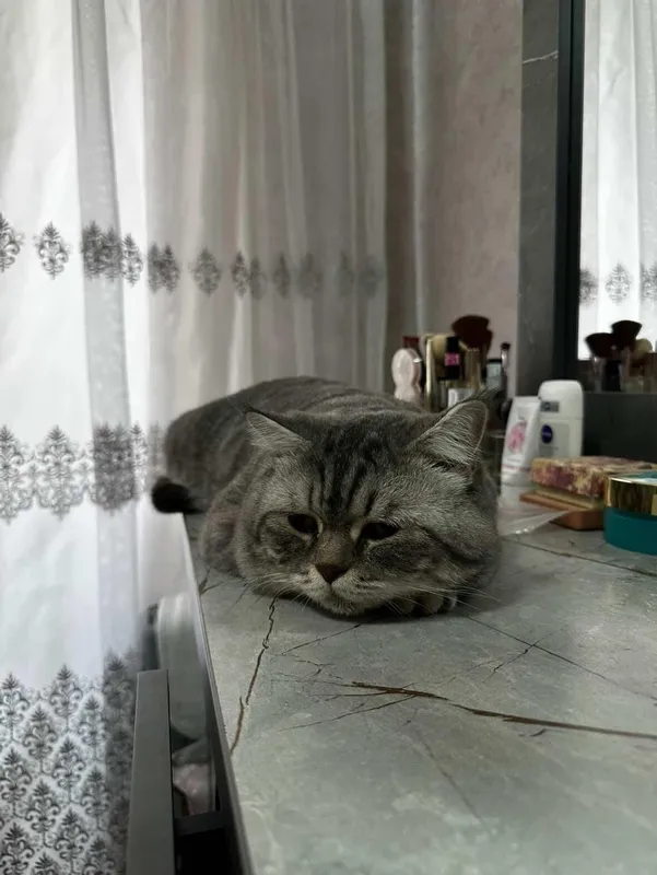 Vyazka ga beeiladi