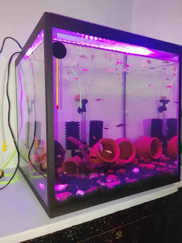 Pashti yangi akvarium sotiladi Pashti yangi akvarium sotiladi