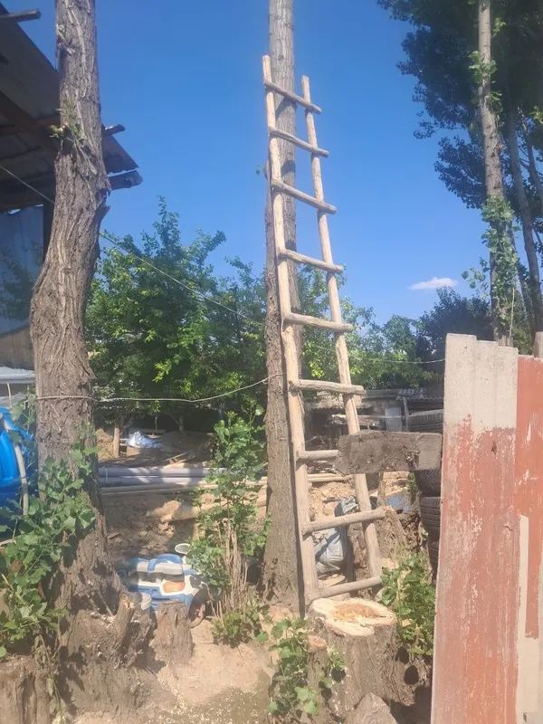 Терак сотилад, кимга керак булса керакли размирда кесиб бераман. Нар