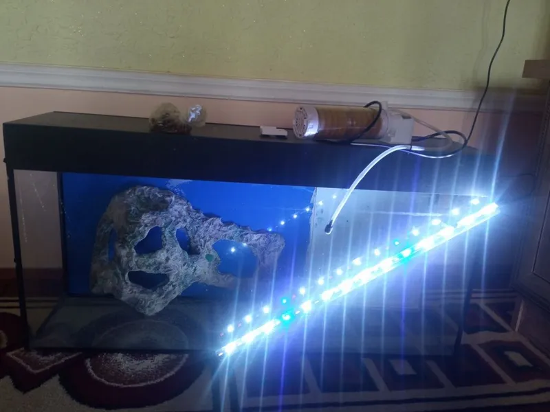 Xajmi:Akvarium 80 litr 2 Xajmi:Akvarium 80 litr 2