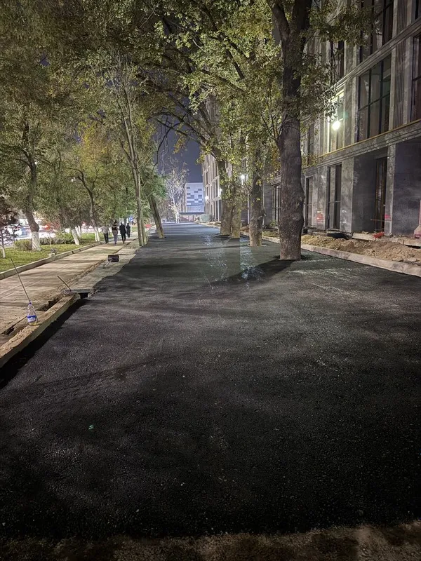 Асфальтирование дорог — фото 4