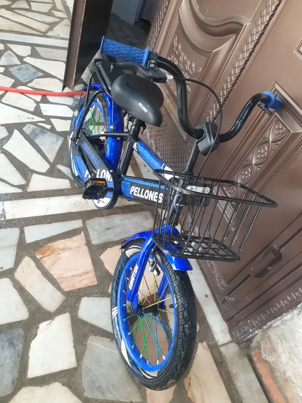 Bolalar velosipedi