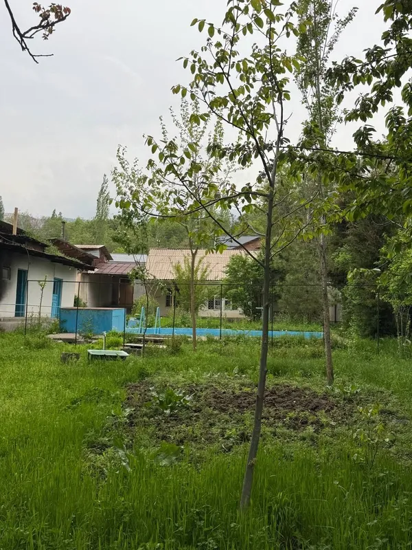 Чарвак посёлок Сиджак набережная