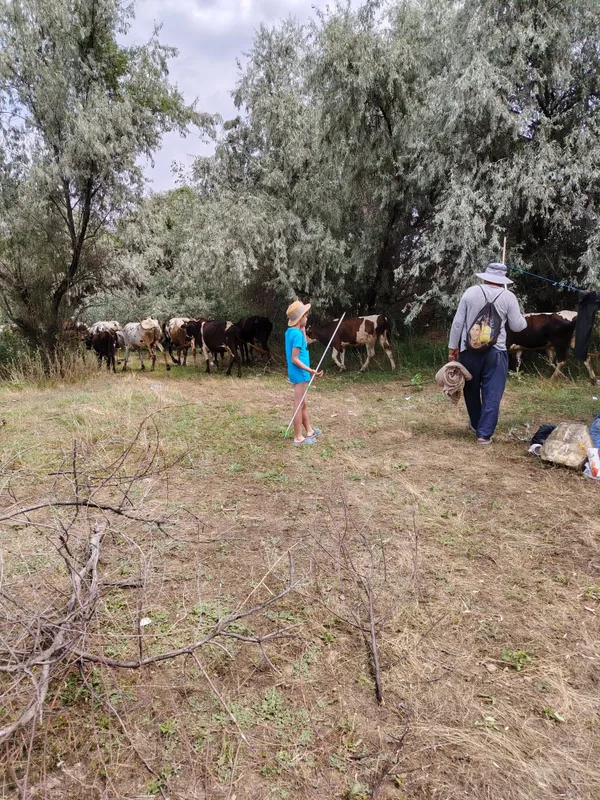 Продам диски ваз евро13