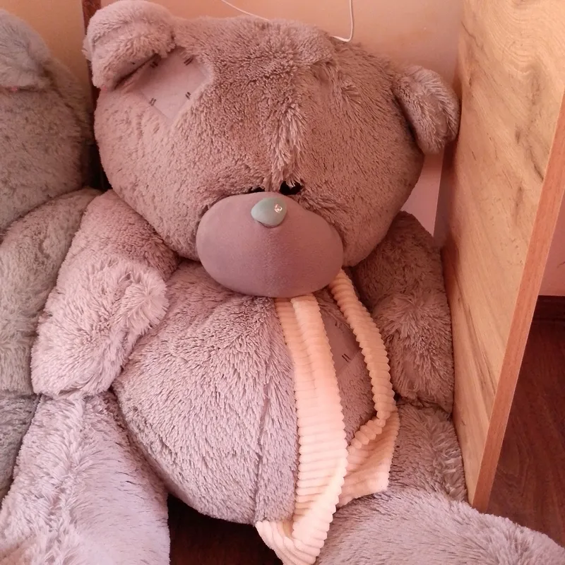 Teddy ayiq katta