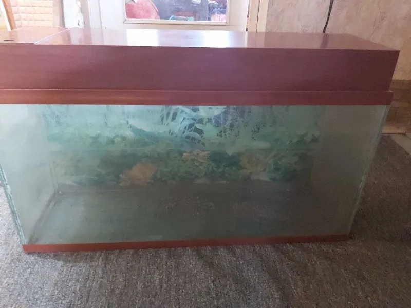 Продаётся аквариум 1 Продаётся аквариум 1