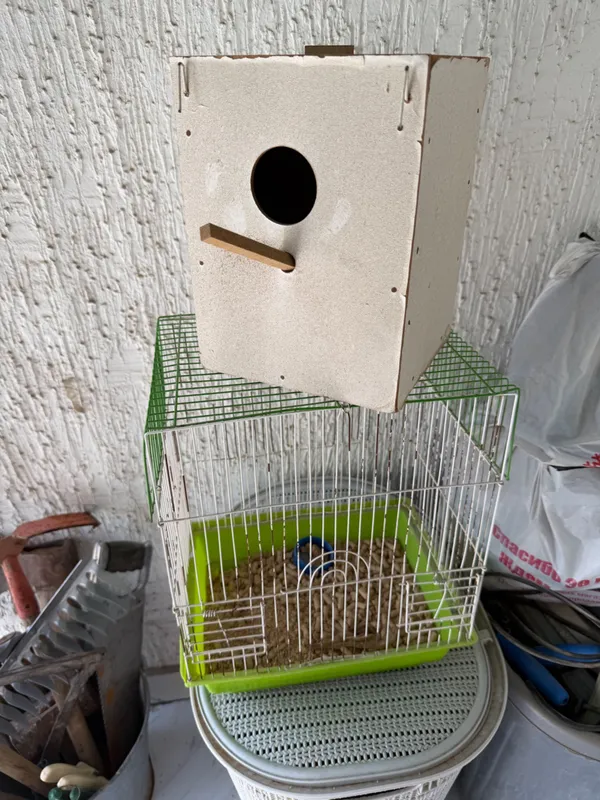 To‘tilar uchun katak skvorechnik bilan