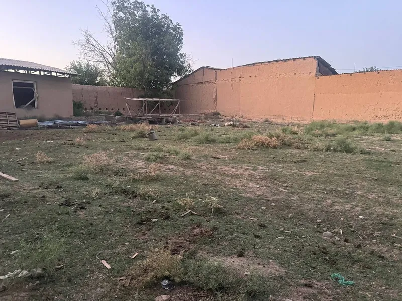 Toshkent tumani Tolabekda yer sotiladi 7 Toshkent tumani Tolabekda yer sotiladi 7