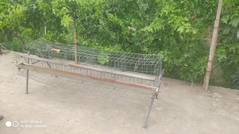 Tovuqxona sotiladi 1