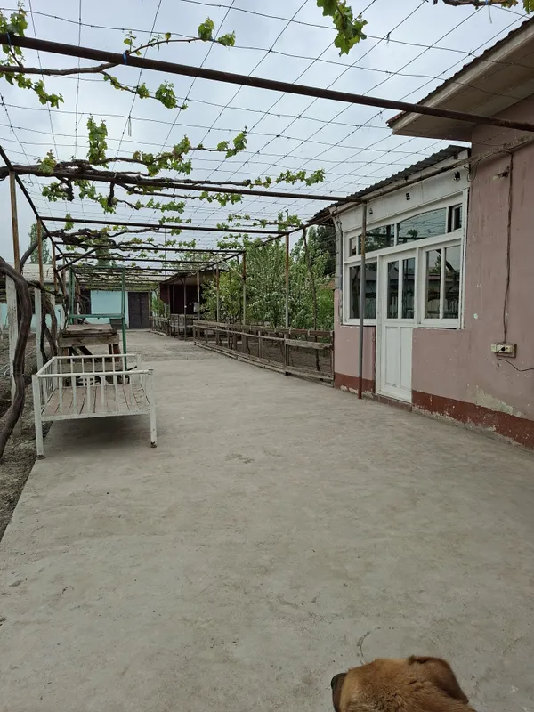 Ёрмазорда 3 та 9 сотихлик участка. Катедж куриб сотувчилар учун аъло и — фото 5