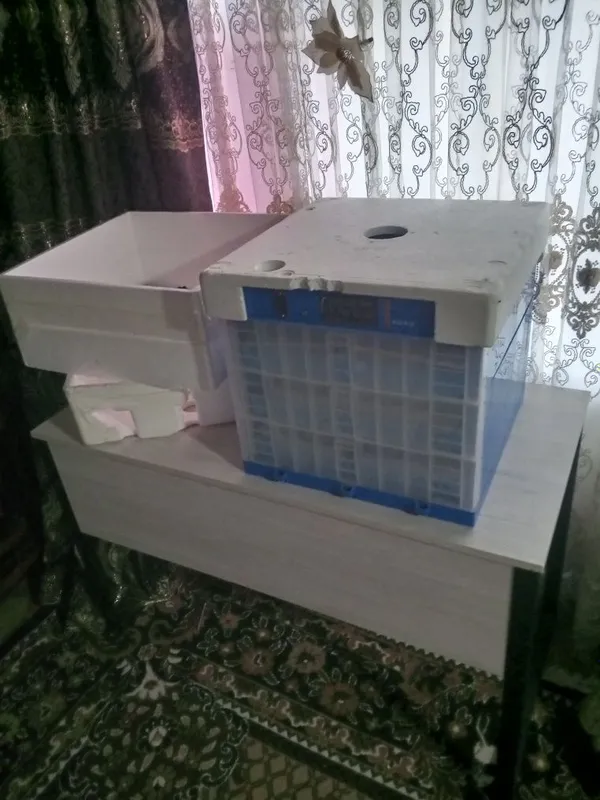 Inkubator sotiladi holati idiyal 5