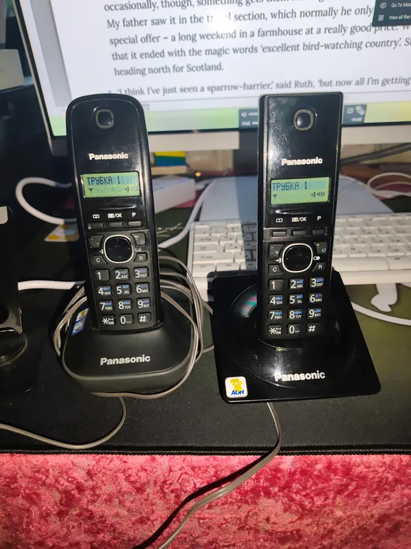 Panasonic 1 Panasonic 1