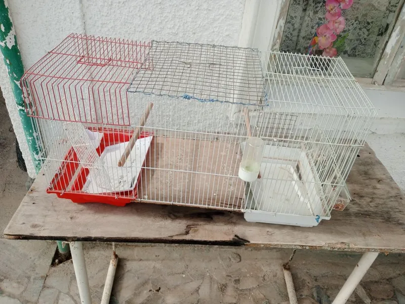 Клетки для птиц срочно не дорого