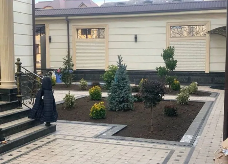 Газон рулон посевной — фото 2
