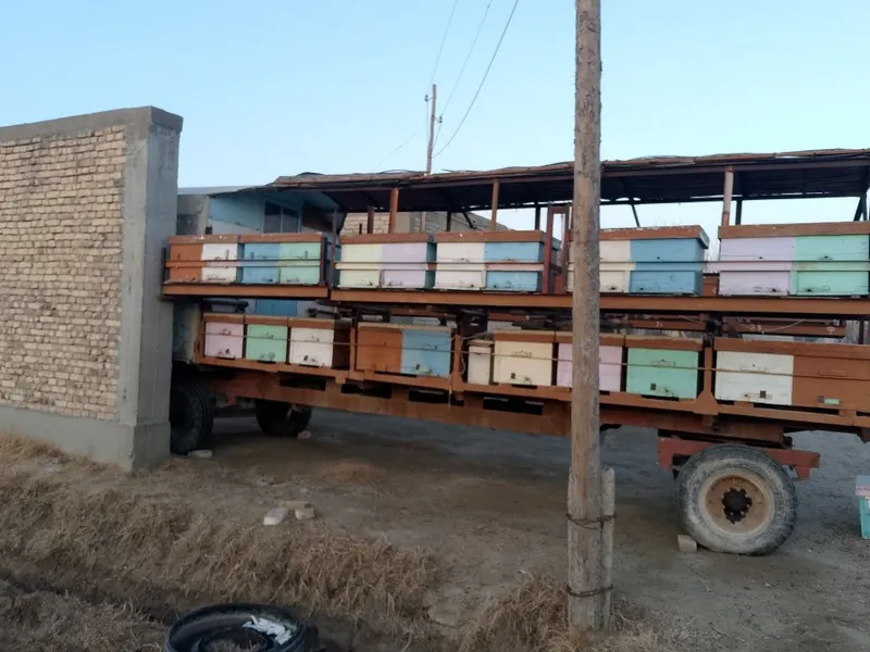 Asalari paviloni, 45ta oilasi bn