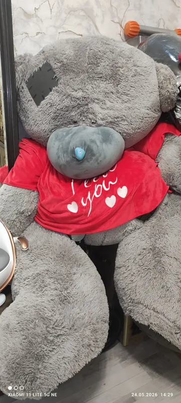 Teddy ayiq